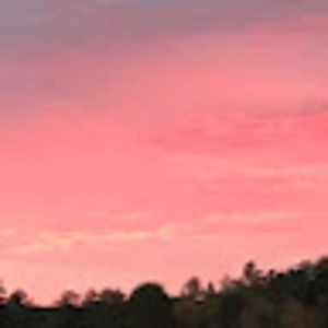 Meet your Posher, John michael